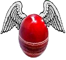 CricHeaven Logo